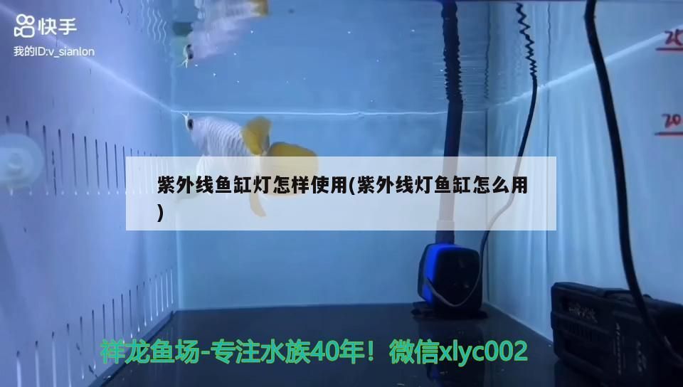 高新技術(shù)開發(fā)區(qū)嘟嘟吃奶魚店，特色餐飲的新奇之