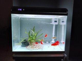 森he魚缸品質如何？