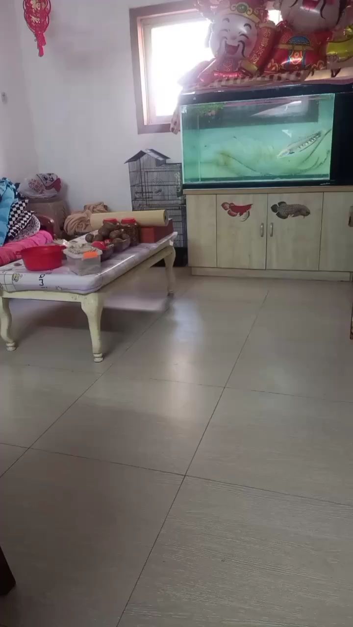 魚缸過濾器選購指南:自制魚缸過濾器魚缸上置過濾器對于養魚愛好者的必備知識 越唱越熟練,從青澀到嫻熟的音樂 龍魚論壇 越唱越熟練,從青澀到嫻熟的音樂 越唱越熟練,從青澀到嫻熟的音樂 龍魚論壇