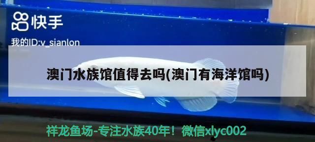 利賣魚缸的地方在哪？