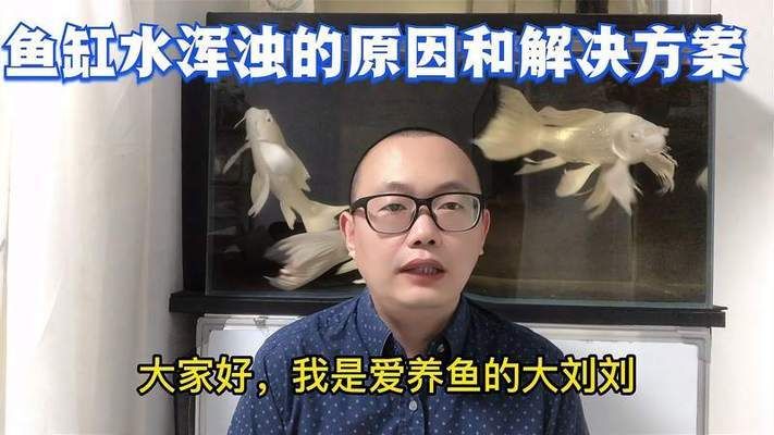 罕與尼特利過濾桶對(duì)比，究竟哪個(gè)更勝一