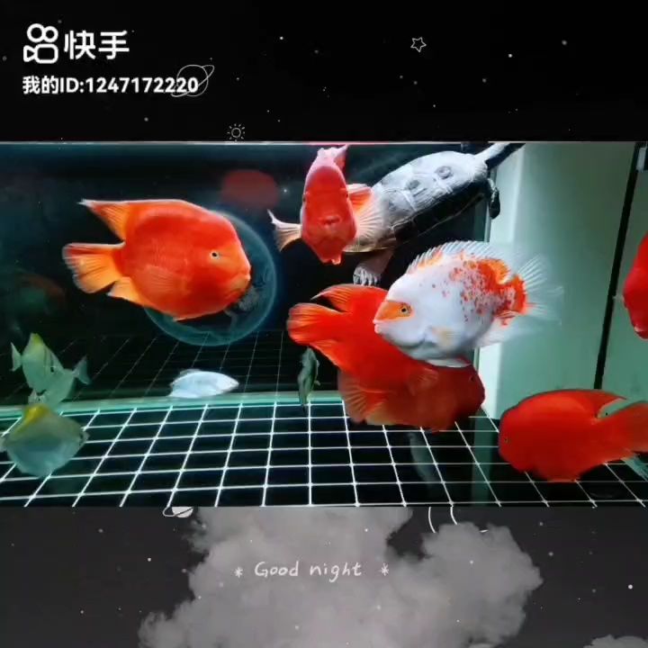 愿事事順遂前景光明，心懷善念南無阿彌