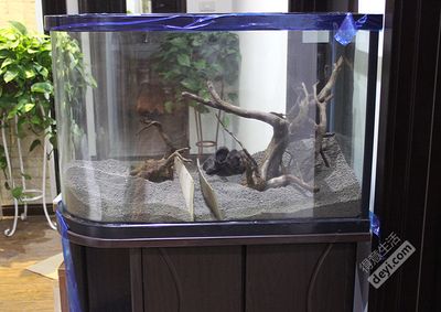 魚缸用增氧泵價格是多少:魚缸增氧機-xtrac增氧機-xtrac增氧機 森成品魚缸質量如何? 森森魚缸 森成品魚缸質量如何? 森成品魚缸質量如何? 森森魚缸