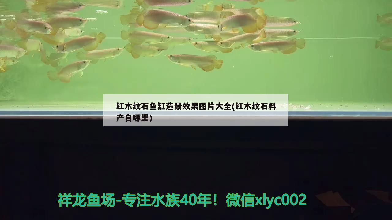 木紋石魚缸造景效果圖片大全，探秘紅木