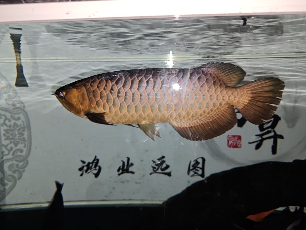 你還未提供具體內容，暫時無法生成長標題。