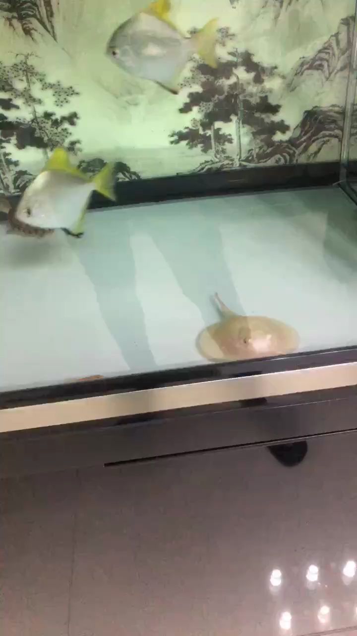 每日簽到，積累小確幸，解鎖