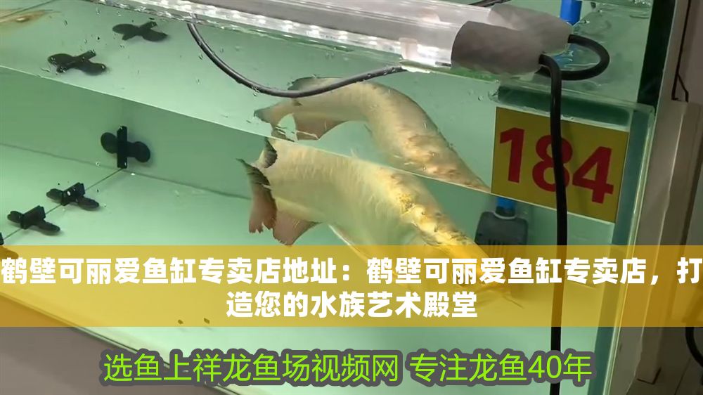 壁可麗愛魚缸專賣店地址在哪？ 壁可麗愛魚缸專賣店地址在哪？ iwish愛唯希品牌魚缸 第1張
