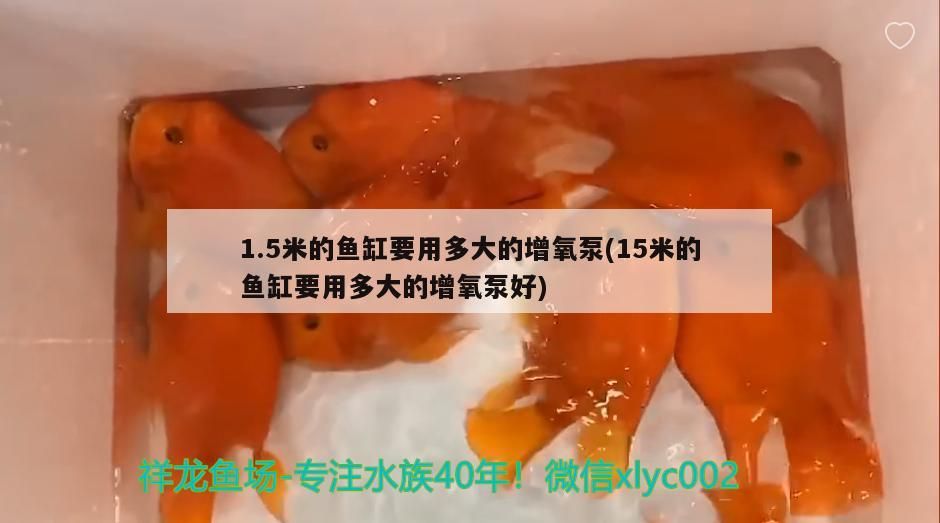5米魚缸增氧泵選多大？ 5米魚缸增氧泵選多大？ 九鼎魚缸