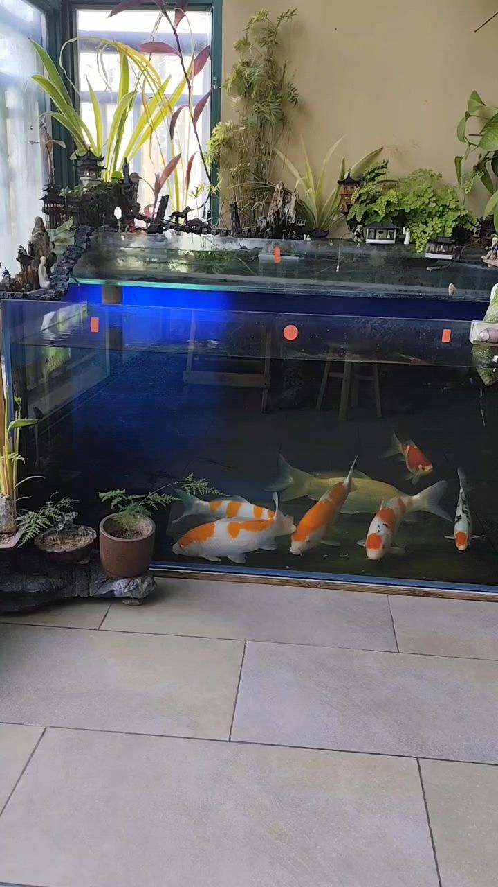 業(yè)務(wù)之外的熱愛(ài)，探索那些令人著迷的業(yè)余愛(ài)好世界