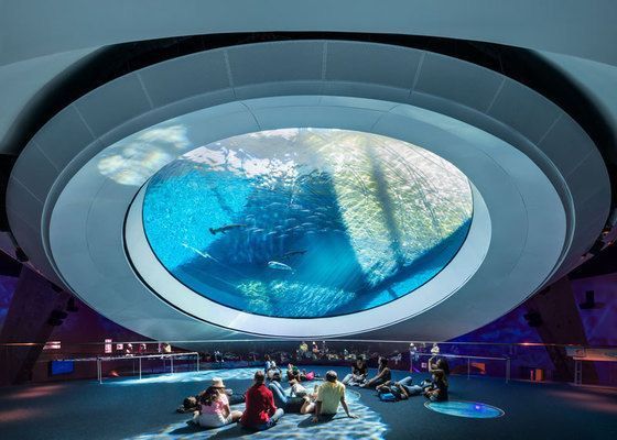 水族館項目全解析，規模、特色與運營規劃概述