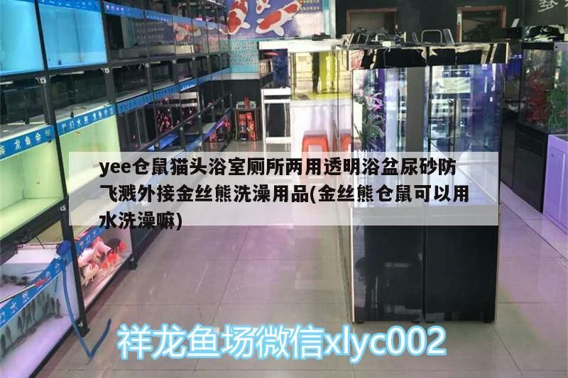 ee倉鼠貓頭浴盆，兩用防濺，金絲熊倉鼠適用，能