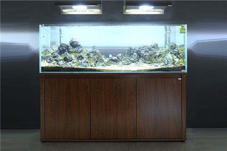 賣魚與魚缸的地方在哪？