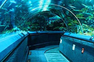 水族館排名，北京海洋館居首，其他熱門場館 水族館排名，北京海洋館居首，其他熱門場館 水族館百科（水族館加盟） 第4張