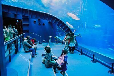 水族館排名，北京海洋館居首，其他熱門場館 水族館排名，北京海洋館居首，其他熱門場館 水族館百科（水族館加盟） 第5張