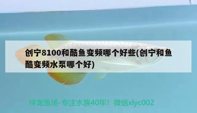 寧8100與酷魚變頻水泵對(duì)比，哪個(gè)更好