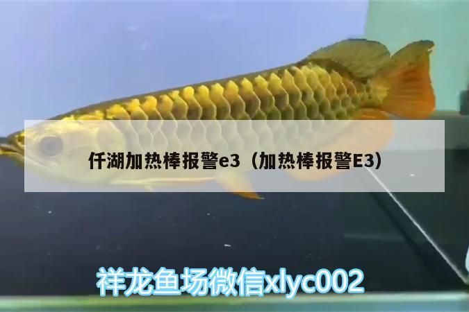 湖加熱棒出現E3報警，原因何在？