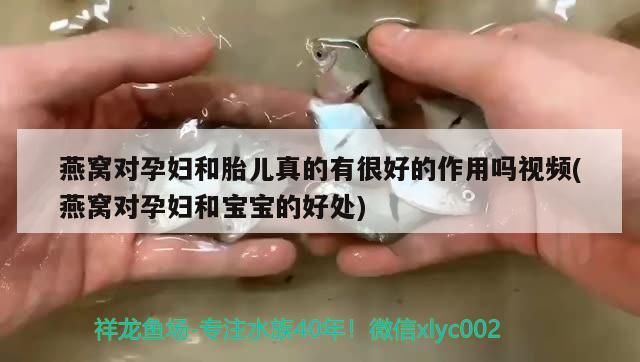 爬爬水族用品店，專業水族產品，打造水