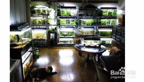 族館全攻略，裝修風格指南及