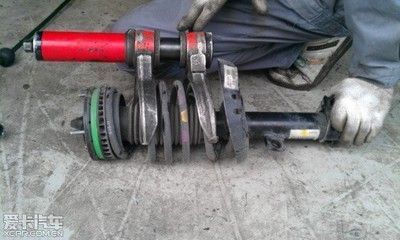 什么魚能和龍魚、虎魚混養(龍魚能和虎魚混養嗎) 森牌減震器,卓越性能,為 森森魚缸 森牌減震器,卓越性能,為 森牌減震器,卓越性能,為 森森魚缸