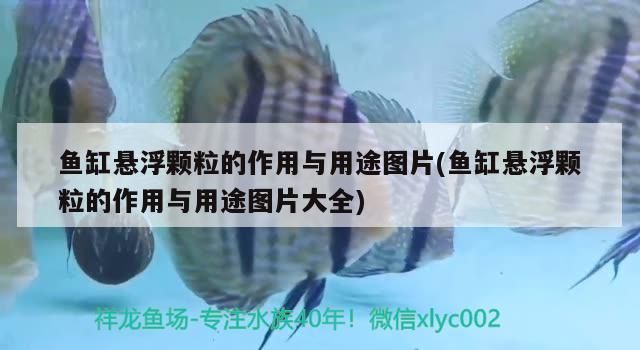 懸浮顆粒作用用途詳解，附高清圖片
