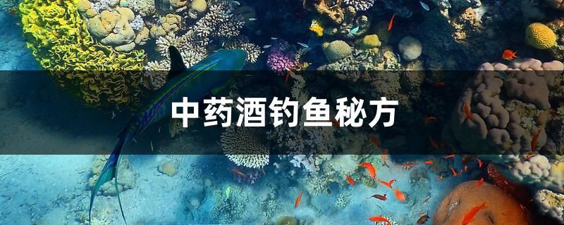 酒釣魚秘方大揭秘，自制特效魚餌，輕松提升 酒釣魚秘方大揭秘，自制特效魚餌，輕松提升 魟魚百科