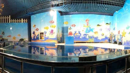 探尋yee水族世界官網,功能、特色及相關信息全 yee 第4張 探尋yee水族世界官網,功能、特色及相關信息全 探尋yee水族世界官網,功能、特色及相關信息全 yee 第4張