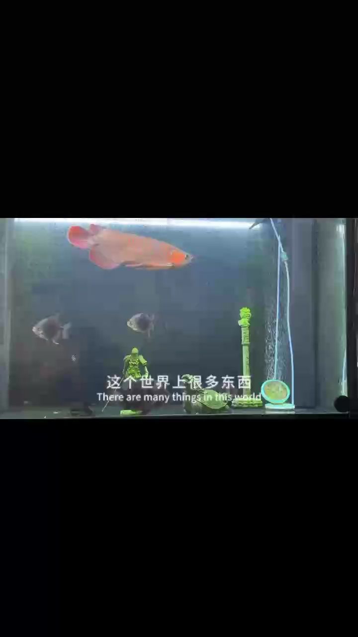 成長(zhǎng)軌跡，點(diǎn)滴記錄中見證自我蛻變