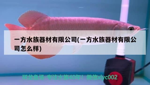 飼料 水族器材有限公司深度剖析,實力、口碑與市場表現全 一方水族 水族器材有限公司深度剖析,實力、口碑與市場表現全 水族器材有限公司深度剖析,實力、口碑與市場表現全 一方水族