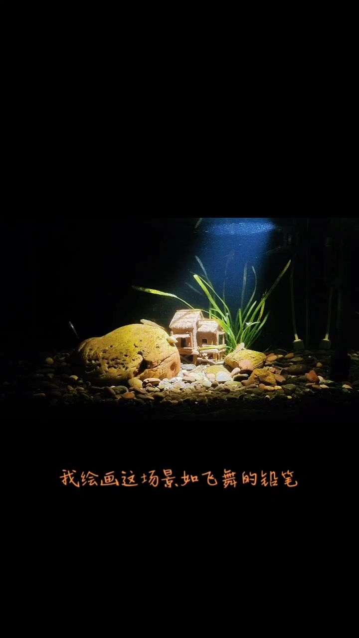 九魚快，暢享美味鮮魚，快捷送達的優質 九魚快，暢享美味鮮魚，快捷送達的優質 龍魚論壇