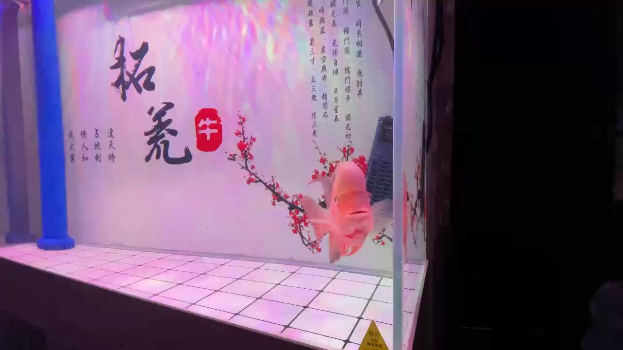 尚未成功，你還需努力！