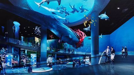 上海海洋水族館探秘，親子游體驗(yàn)與活動(dòng)全 上海海洋水族館探秘，親子游體驗(yàn)與活動(dòng)全 水族館百科（水族館加盟） 第4張