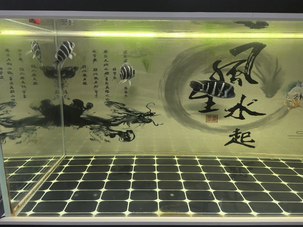三條薩伊藍尺寸各異，18、14、15及1300