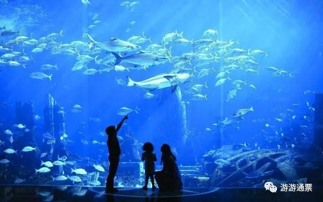 水族館哪家強？三亞亞特蘭蒂斯門票價格及