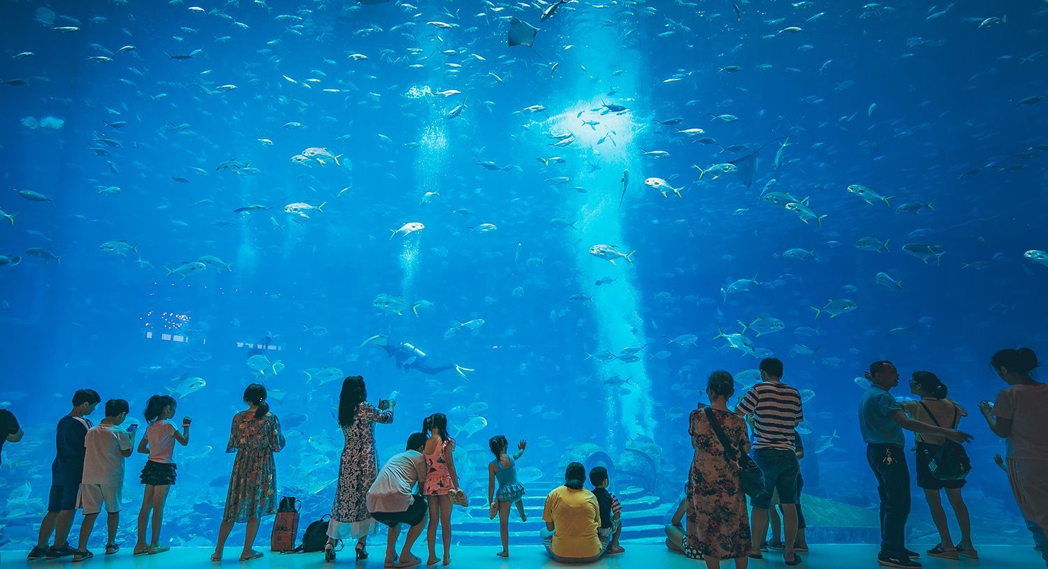 水族館哪家強？三亞亞特蘭蒂斯門票價格及