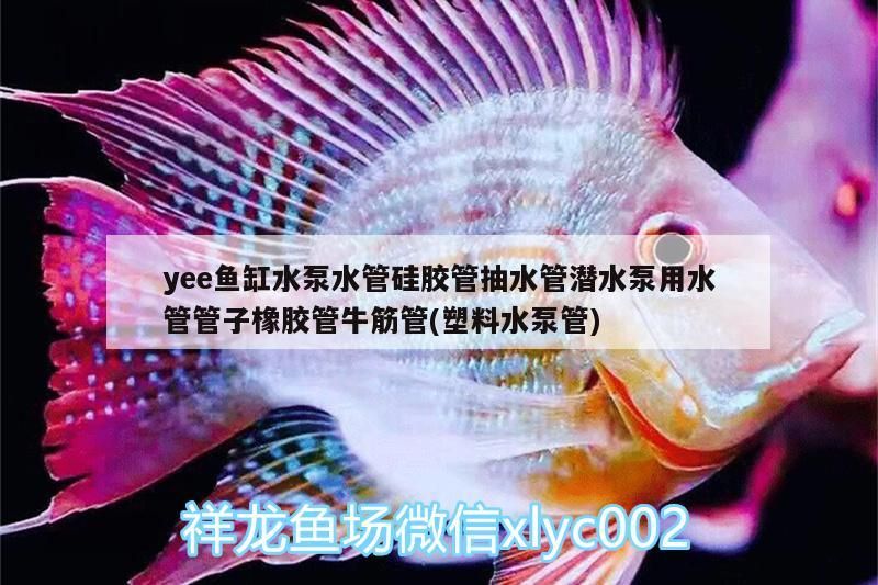 ee魚缸水泵適配管，硅膠/橡膠/牛筋潛水泵用水管(塑料管) ee魚缸水泵適配管，硅膠/橡膠/牛筋潛水泵用水管(塑料管) yee