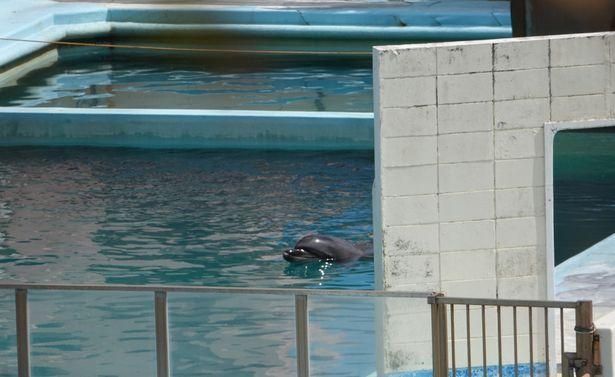 海洋水族館2024年12月29日人流預(yù)測，人多嗎