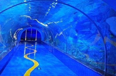 市水族展覽館2023年免費開放時間詳情，水族館免費開放