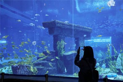 市水族展覽館2023年免費開放時間詳情，水族館免費開放