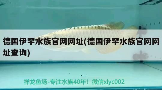 伊罕水族官網網址查詢，了解正品水族產品購買