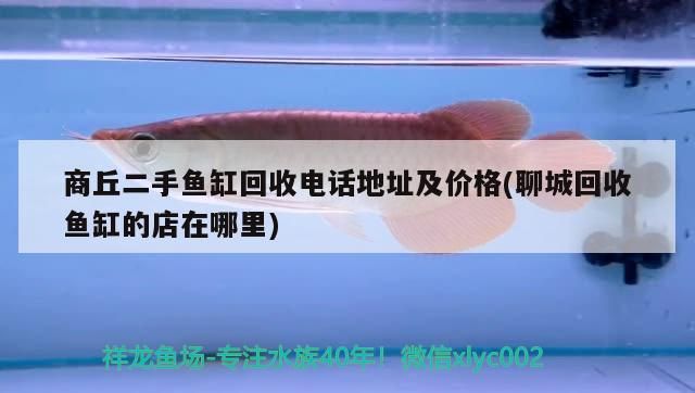 魚缸過濾器選購(gòu)指南:自制魚缸過濾器魚缸上置過濾器對(duì)于養(yǎng)魚愛好者的必備知識(shí) 二手魚缸回收,電話地址價(jià)格全知曉,聊城回收店 可麗愛魚缸 二手魚缸回收,電話地址價(jià)格全知曉,聊城回收店 二手魚缸回收,電話地址價(jià)格全知曉,聊城回收店 可麗愛魚缸
