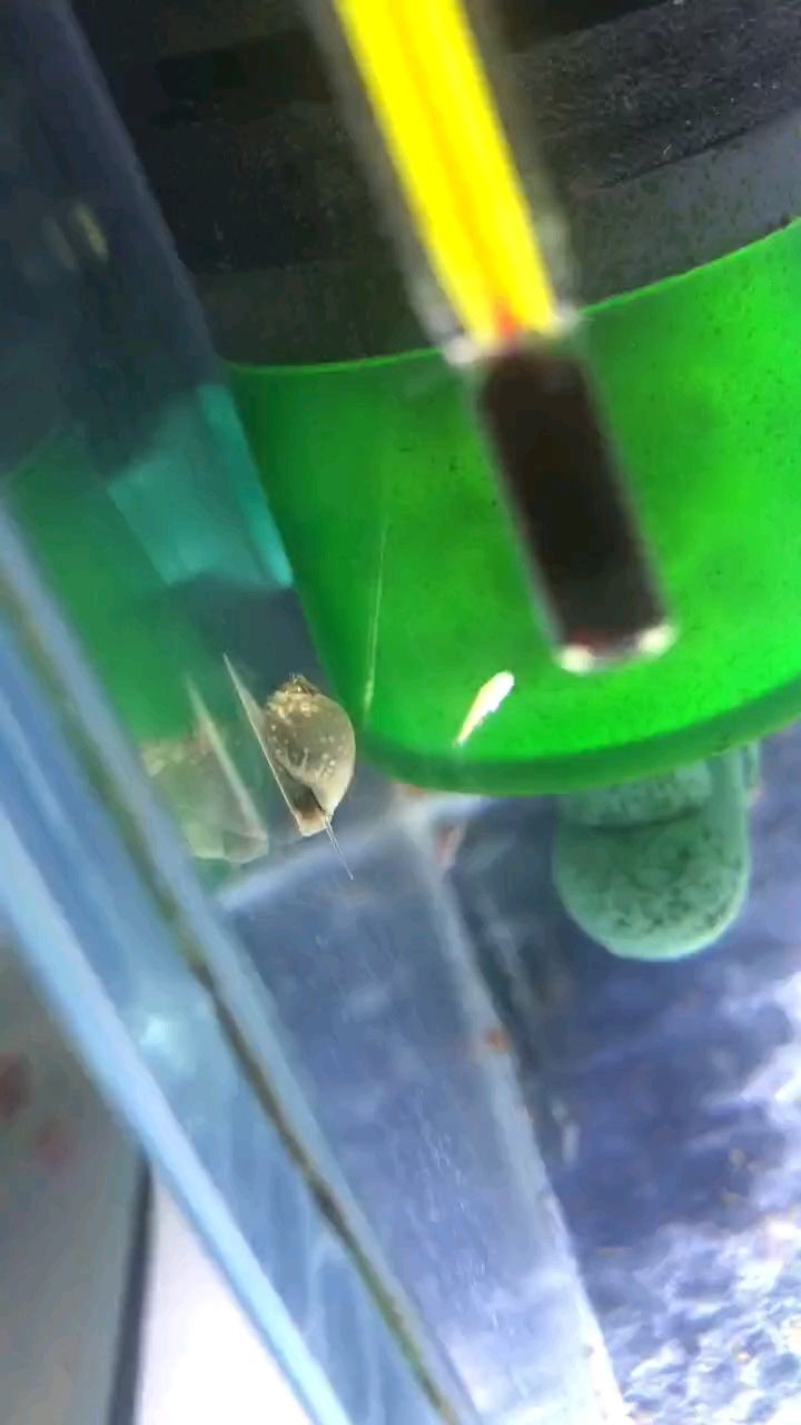 從平凡到非凡，一段跨越挑戰與機遇的勵志征程