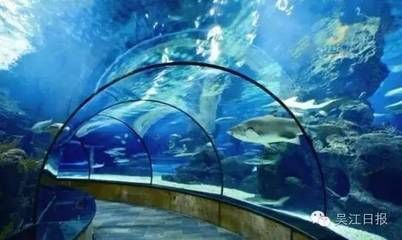 海洋館,世界最大內(nèi)陸?zhàn)^,探秘中國(guó)水族館 水族館百科(水族館加盟) 第1張 海洋館,世界最大內(nèi)陸?zhàn)^,探秘中國(guó)水族館 海洋館,世界最大內(nèi)陸?zhàn)^,探秘中國(guó)水族館 水族館百科(水族館加盟) 第1張