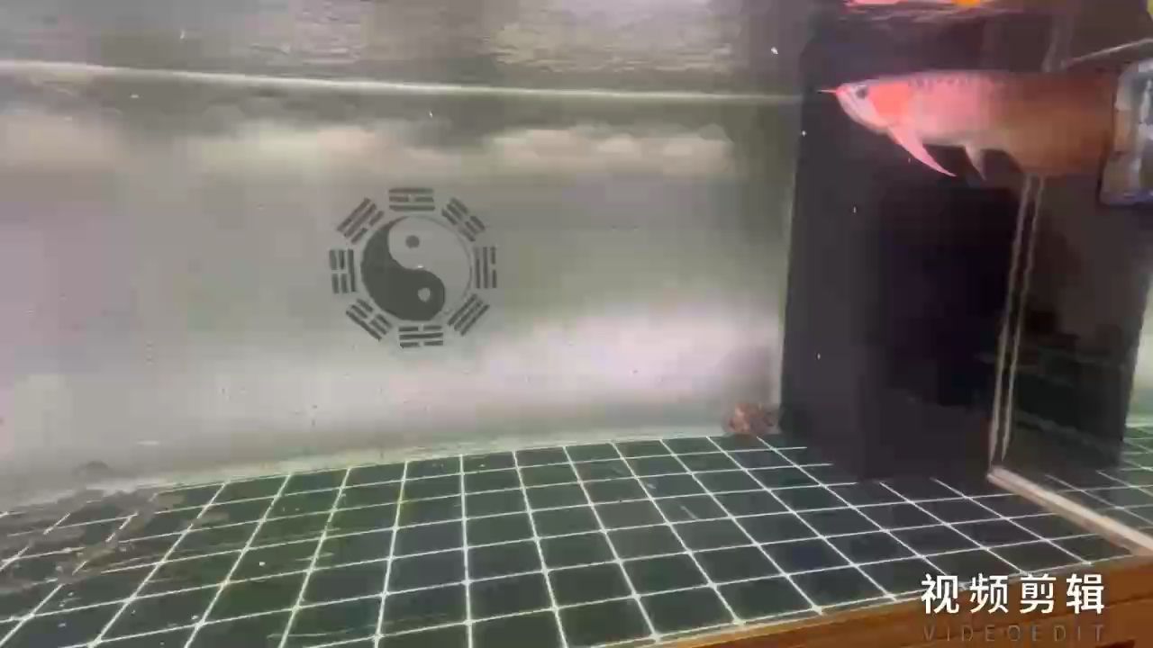 每日簽到，積跬步至千里，點滴積累