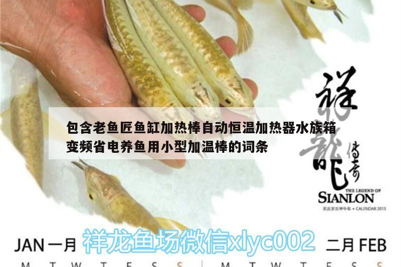 魚缸過濾器選購指南:自制魚缸過濾器魚缸上置過濾器對于養魚愛好者的必備知識 魚匠魚缸加熱棒,自動恒溫、變頻省電,小型水族箱養魚加 老魚匠 魚匠魚缸加熱棒,自動恒溫、變頻省電,小型水族箱養魚加 魚匠魚缸加熱棒,自動恒溫、變頻省電,小型水族箱養魚加 老魚匠