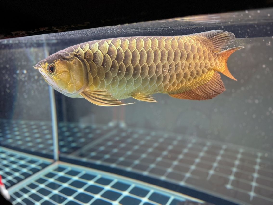 7年啦，時(shí)光流轉(zhuǎn)，那些難忘的故事與深刻變遷