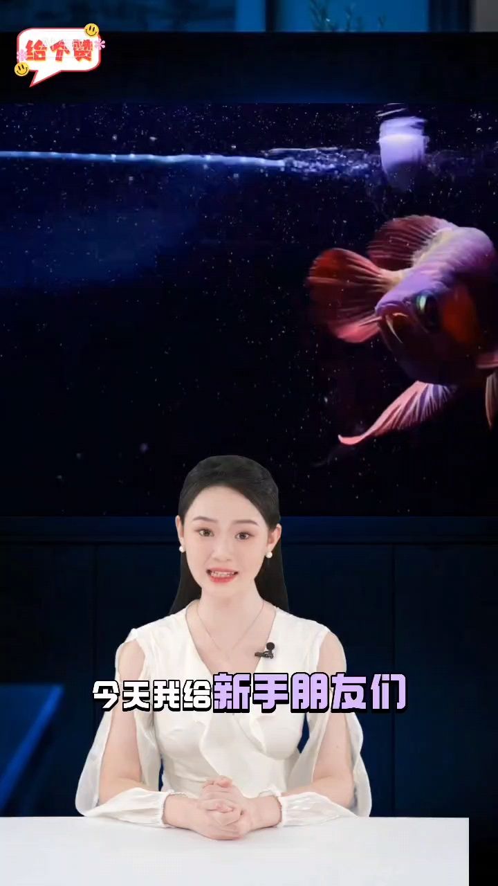 養(yǎng)魚必知，八條實(shí)用方法助你輕松開啟水
