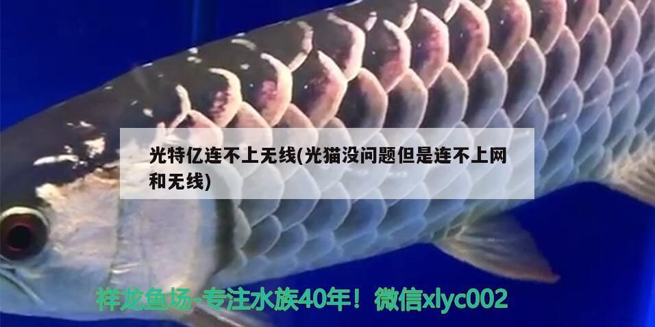 特億，光貓正常卻無線難連，上網受阻問題
