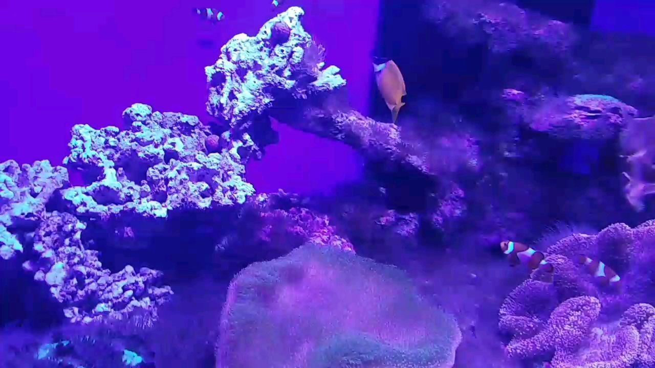龍魚干蝦有營養嗎 抱一顆平常心,于喧囂塵世中尋內心寧靜之道 龍魚論壇 抱一顆平常心,于喧囂塵世中尋內心寧靜之道 抱一顆平常心,于喧囂塵世中尋內心寧靜之道 龍魚論壇
