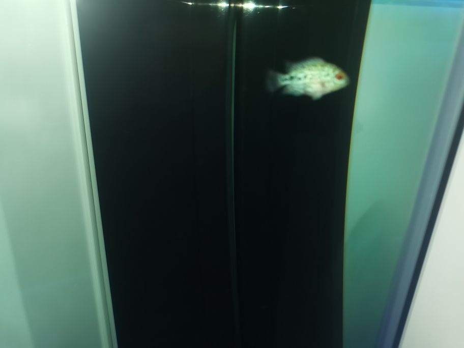 存在感啦！魚友快來評(píng)論，一起暢聊分享有趣事兒