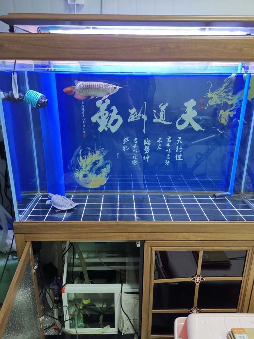 湖艾柯瑞智新品深度試用，性能體驗與細節(jié)全 湖艾柯瑞智新品深度試用，性能體驗與細節(jié)全 仟湖 第6張